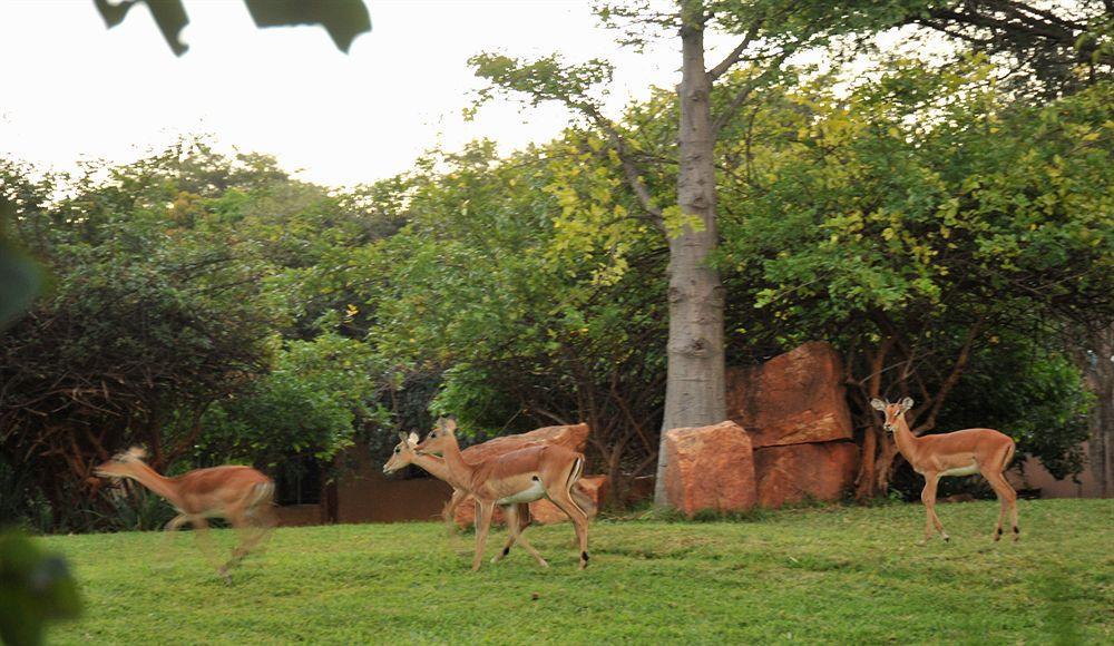 M'Kango Golfview Hotel Lusaka Eksteriør billede